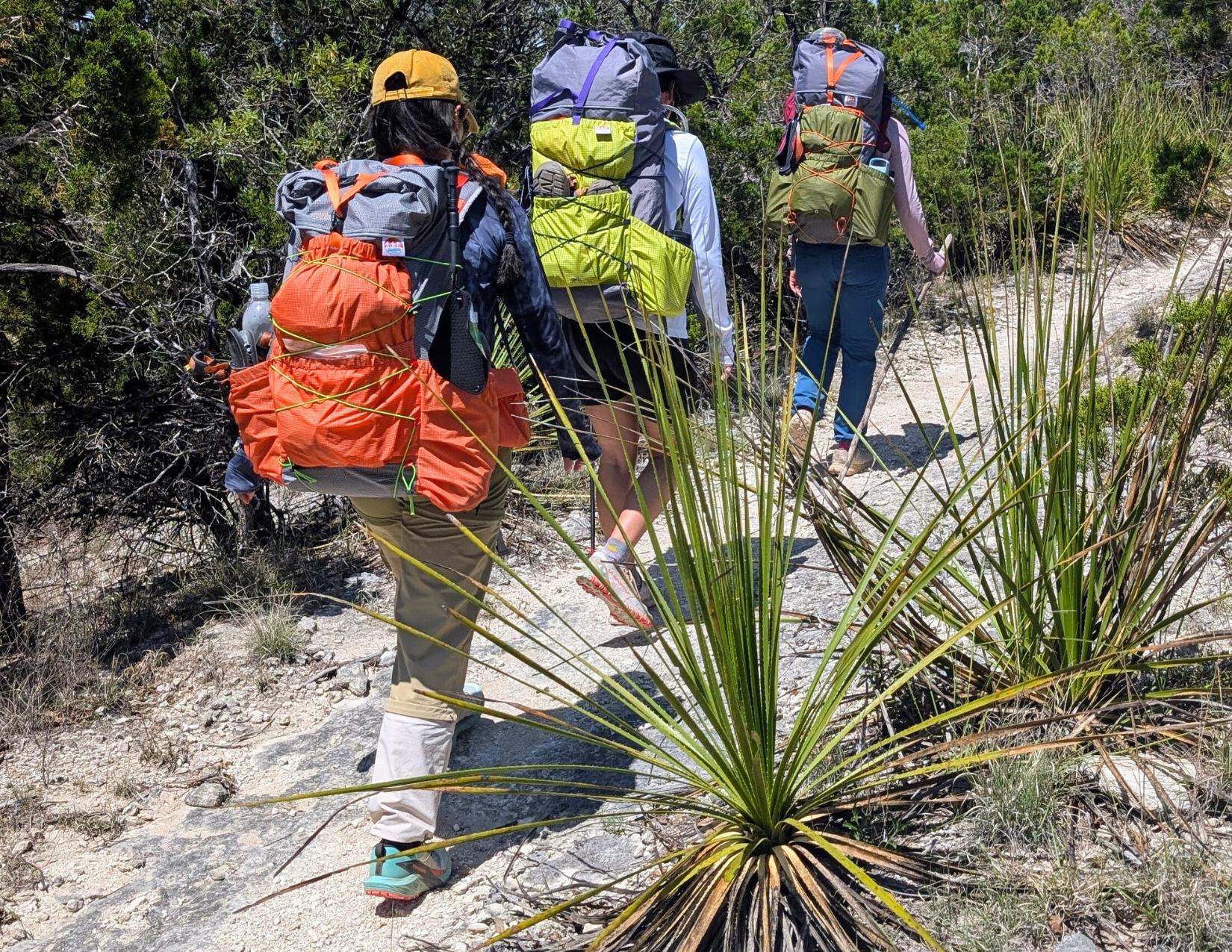 Three hikers with large backpacks walking up a hill through a desert landscape.